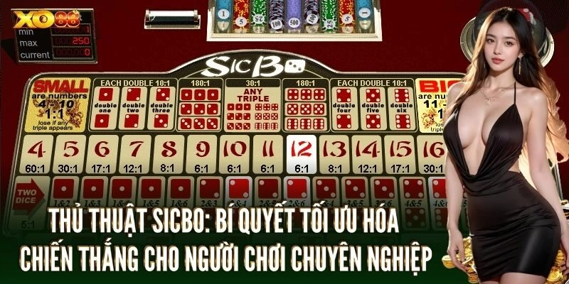 Tìm hiểu tổng quan về trò chơi sicbo