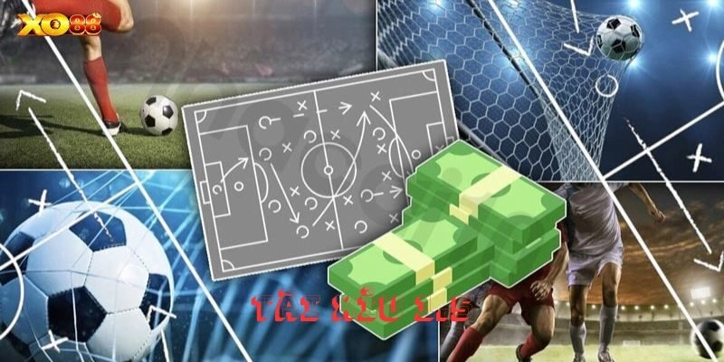 Biết cách nắm bắt thời tiết sẽ có lợi cho bạn