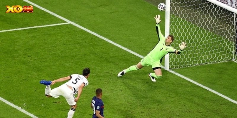 Giới thiệu đôi nét về kèo giữ sạch lưới