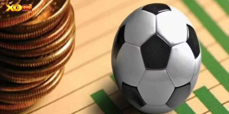 Kinh nghiệm bắt kèo 2.75 thắng đậm