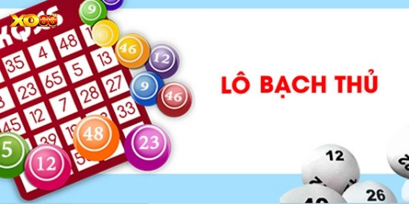 Lô Bạch Thủ là gì?