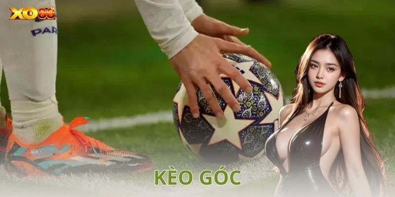 Cách đọc kèo góc chuẩn không cần chỉnh