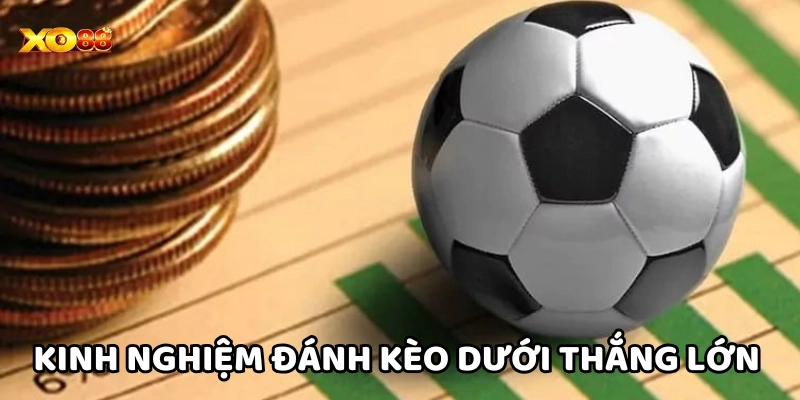 Bí quyết đưa ra tỷ lệ kèo chuẩn xác