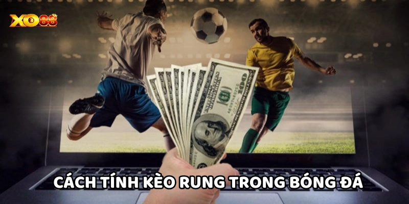 Kèo Rung Là Gì - Bí Quyết Bắt Kèo Cực Chuẩn Từ Cao Thủ