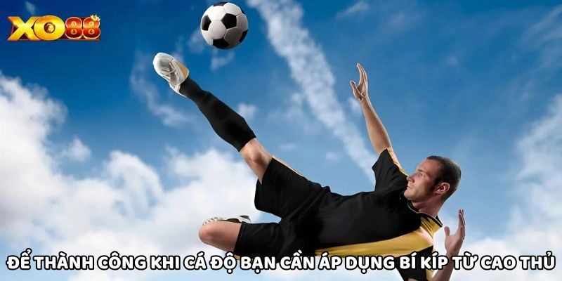 Để thành công khi cá độ bạn cần áp dụng bí kíp từ cao thủ