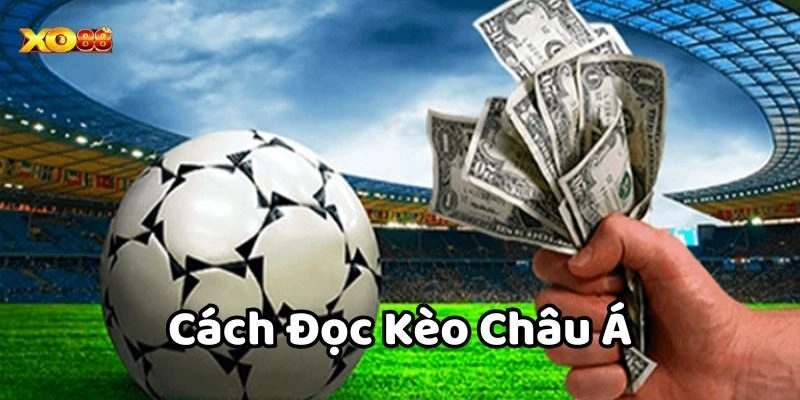 Cách Đọc Kèo Châu Á Từ Xo88 Cho Người Mới