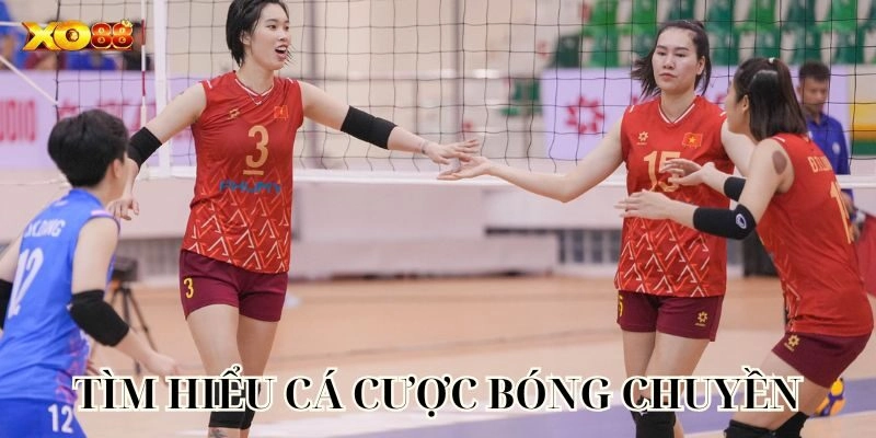 Tìm hiểu Cá Cược Bóng Chuyền