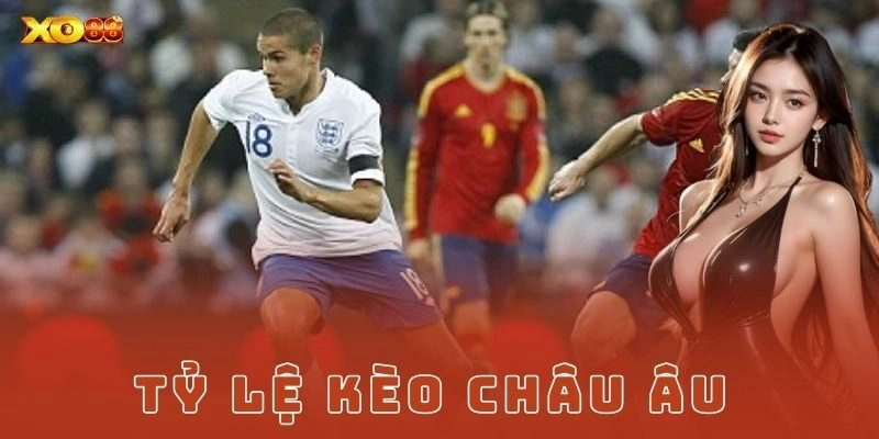 Cách chọn cửa kèo châu Âu hợp lý