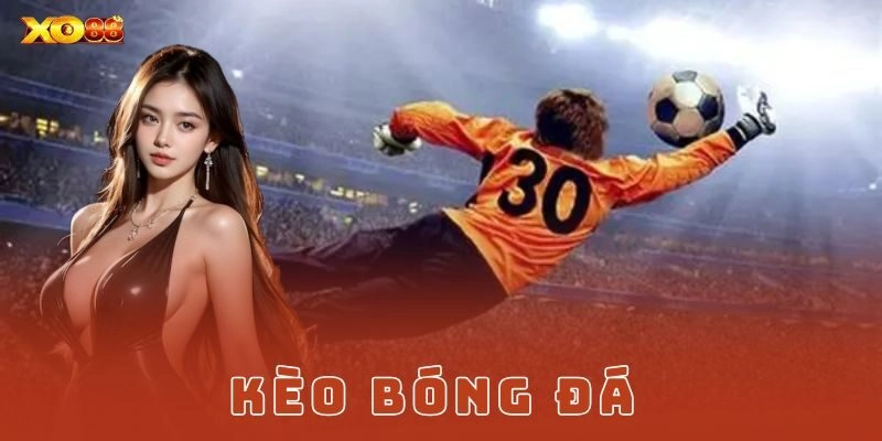 Kèo bóng đá cơ bản và cách vận hành